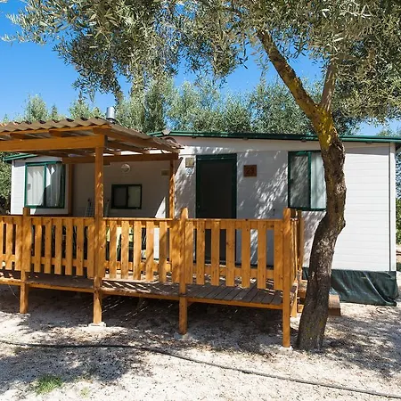 Shadak Campsite 3*